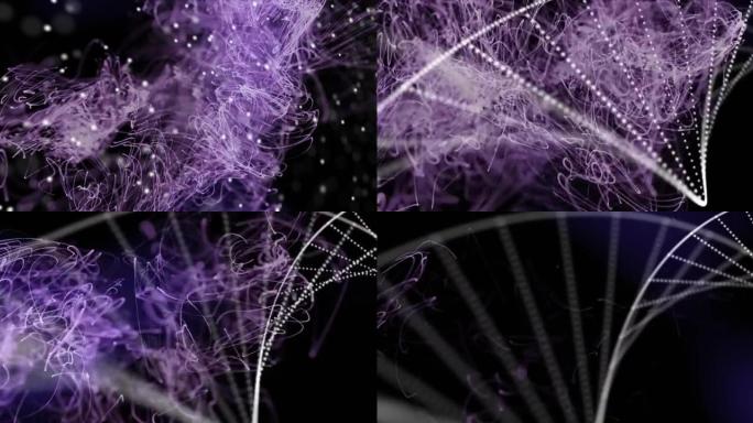 dna链在紫色发光网格上旋转的动画