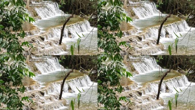 雨林中的瀑布流水瀑布绿树