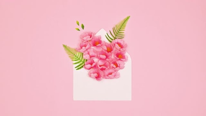 春季花卉定格动画。花朵从白色信封中出现。妇女节快乐。平铺