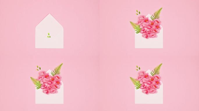 春季花卉定格动画。花朵从白色信封中出现。妇女节快乐。平铺