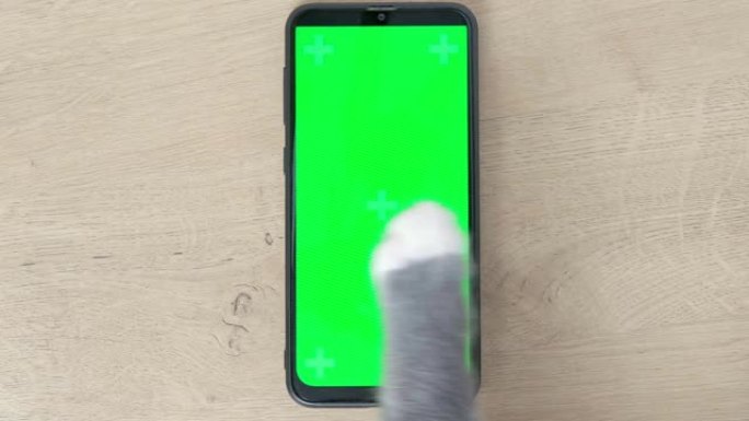 用chromakey屏幕触摸、点击和滑动手机。猫爪打字智能手机与绿色背景。特写。用于广告的色度键垂直