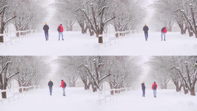 两个人一起走在冬天的路上。在雪地里嬉戏