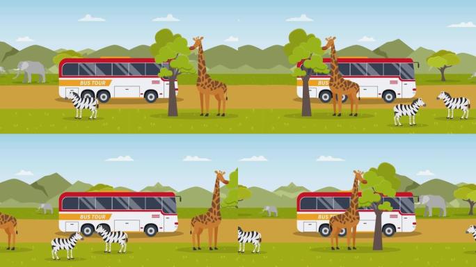 safari动物园2d动画中的巴士旅游驾驶