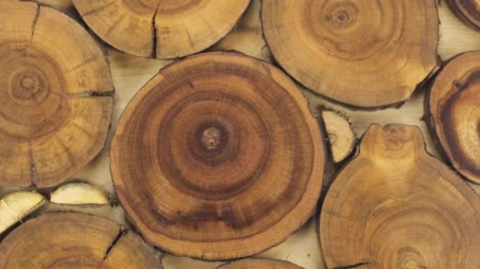 不同大小的圆形木质未上漆实心天然树木切口。木质纹理。装饰面板