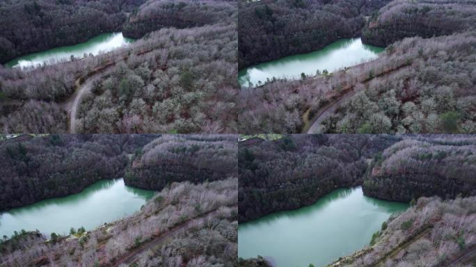 法国上维埃纳省冬季森林中充满水的矿井洞