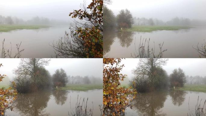 在朦胧的秋天，美丽的湖边，前景是树叶