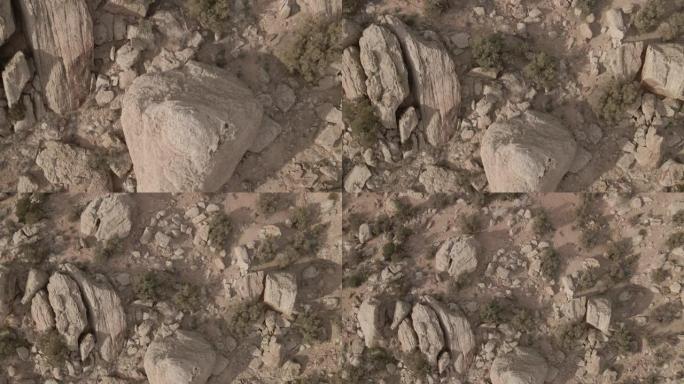 科罗拉多州西部和西南部的砂岩仙人掌河和沙漠元素航空宏微4k视频系列
