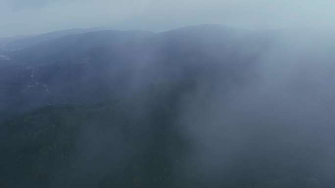 苏州吴中区东山西山洞庭碧螺春茶叶茶山4k