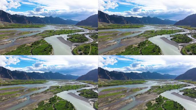 江河生态治理 河岸种树防沙 种树防洪