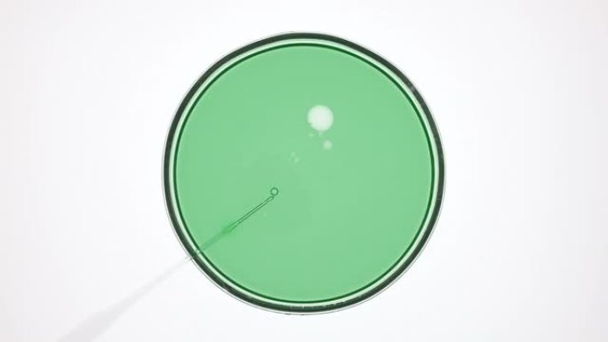 滴管将透明油注入培养皿中的绿色液体中