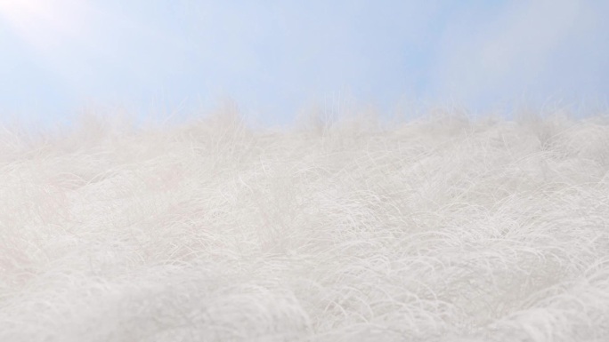 柔软羊毛面料布料材料产品卖点C4D+AE