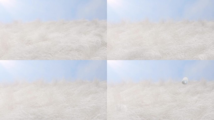 柔软羊毛面料布料材料产品卖点C4D+AE
