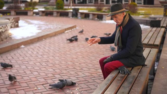 沮丧的老人坐在右边的长凳上，用面包喂鸽子。户外城市街道上悲伤孤独的高加索男性退休人员与鸟类的广角高视