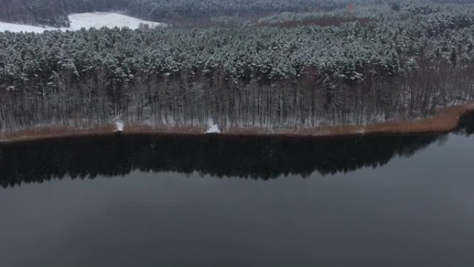 鸟瞰树梢覆盖在森林冬日的湖面积雪平静。宁静的自然，新鲜的空气，干净的蓝色水。在美丽安静的冬季湖上飞越