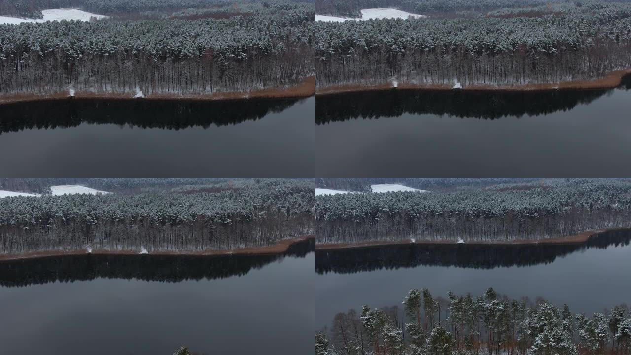 鸟瞰树梢覆盖在森林冬日的湖面积雪平静。宁静的自然，新鲜的空气，干净的蓝色水。在美丽安静的冬季湖上飞越