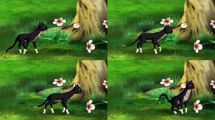 黑猫行走森林高清动画