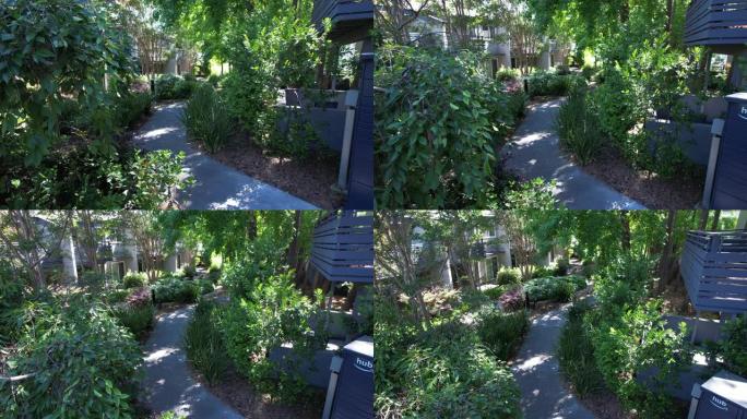 房屋花园植物和路径的4k镜头