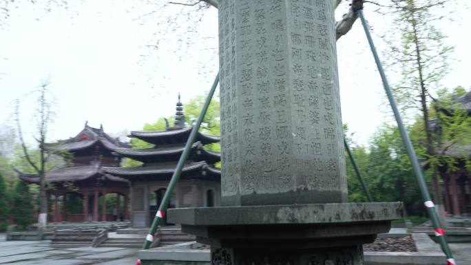 杭州钱王祠春天清明节雨天古建筑自然唯美