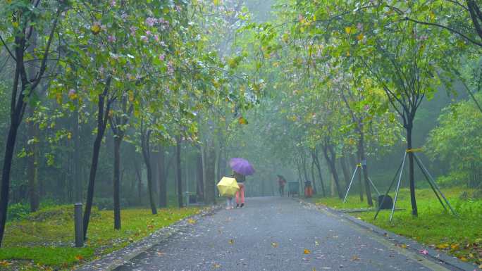 4K升格实拍，广州春雨朦胧路上撑伞的母女