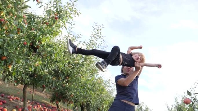 家庭娱乐父亲和小儿子在苹果树花园散步时在空中旋转一个孩子