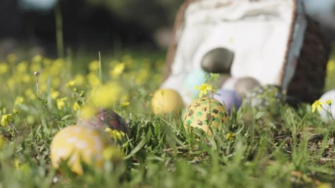 装饰好的复活节彩蛋已经从篮子里掉了出来，黄花躺在草地上。特写，全景。
