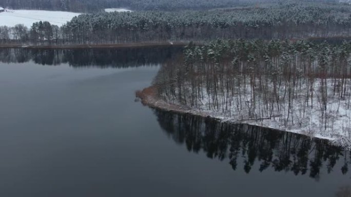 鸟瞰树梢覆盖在森林冬日的湖面积雪平静。宁静的自然，新鲜的空气，干净的蓝色水。在美丽安静的冬季湖上飞越