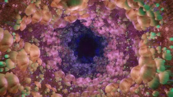迷幻迷幻蘑菇飞行隧道艺术动画为美丽