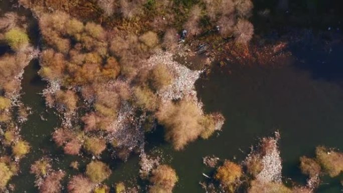 无人机飞越森林湖畔的生活垃圾。