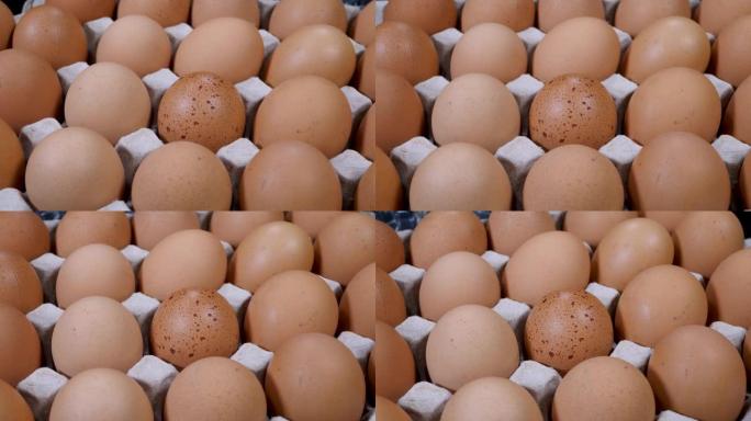鸡蛋盒中的生鸡蛋