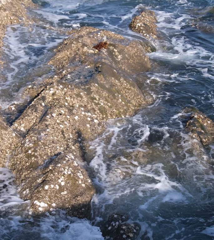 烟台海边 海水拍打岩石