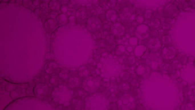 4k库存视频，显示紫色的运动和图案
