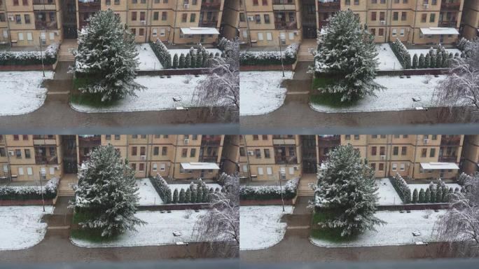 城市降雪。大片白色雪花从多云的天空落下。巴尔干半岛的天气预报。唐楼和树木被雪覆盖。