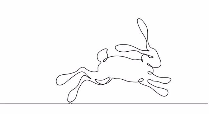 一只兔子的单线绘制动画