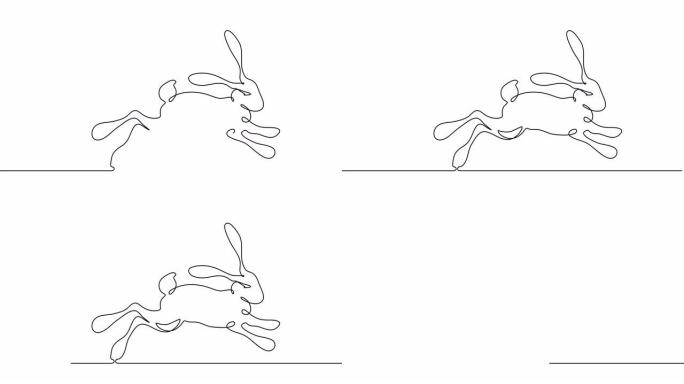 一只兔子的单线绘制动画