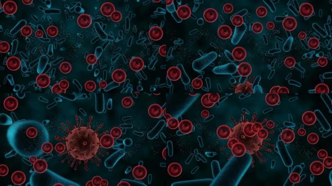 黑色背景上的血液和细菌细胞的动画