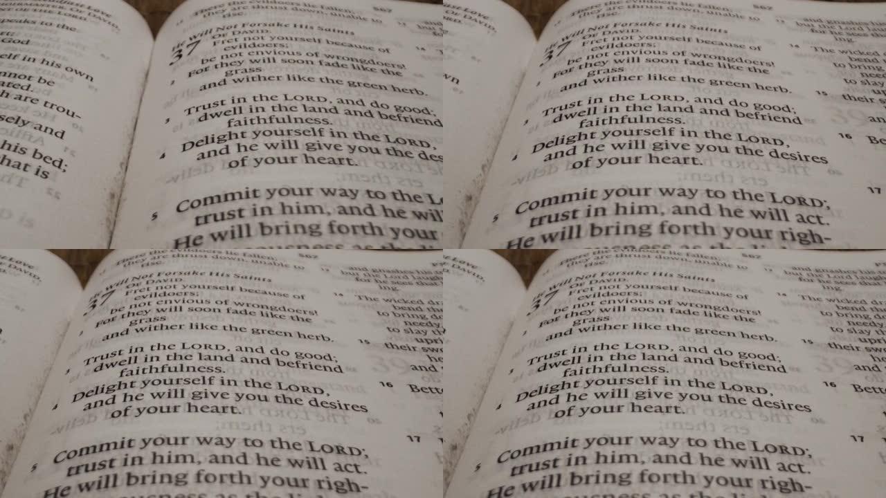 一个美国男孩打开圣经并开始阅读的特写镜头