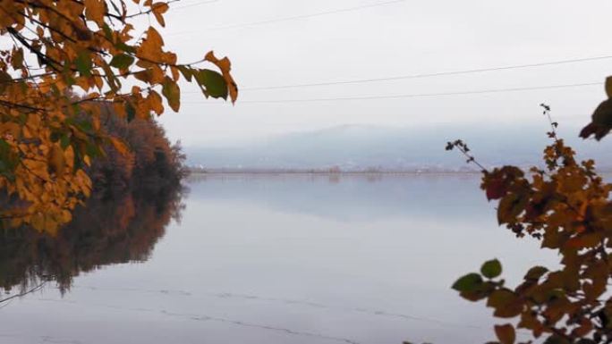 平静的反光海面，高清海岸线上有五颜六色的秋树