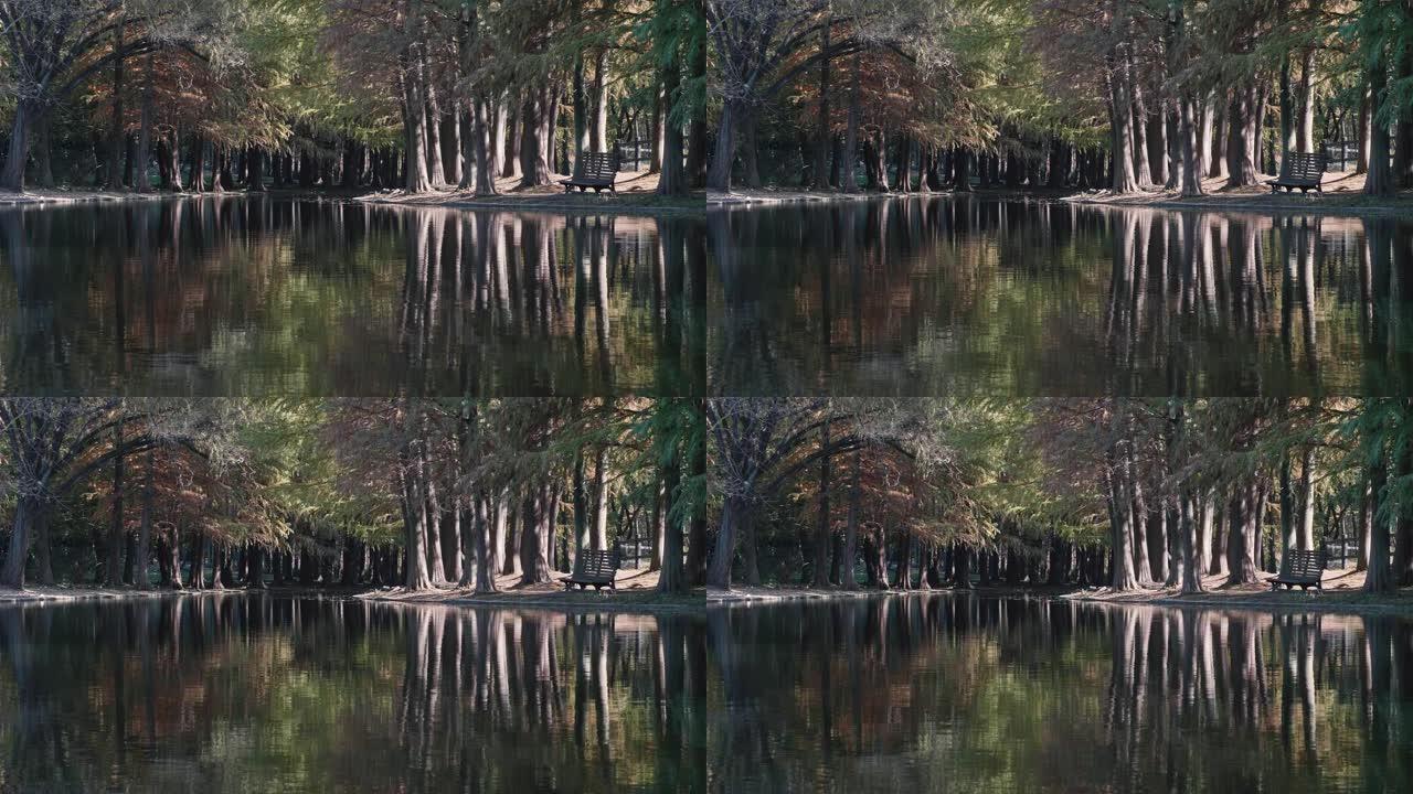 美丽的秋季风景4k慢动作镜头，色彩缤纷的森林，在阳光明媚的日子里像画一样在宁静的湖中倒影，循环视频。