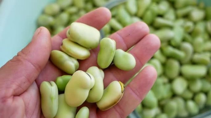 新鲜蚕豆，豆类，蚕豆对帕金森氏病的好处，