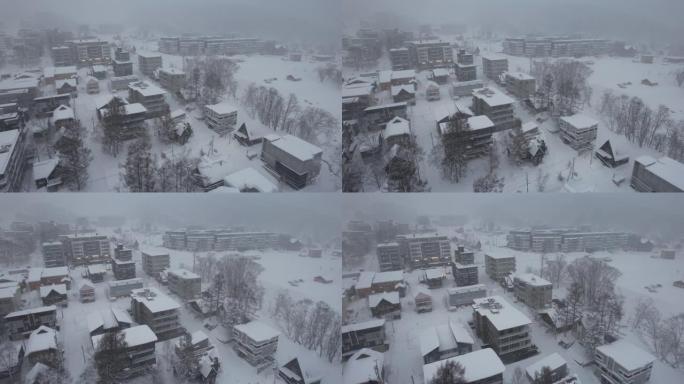 日本新雪谷