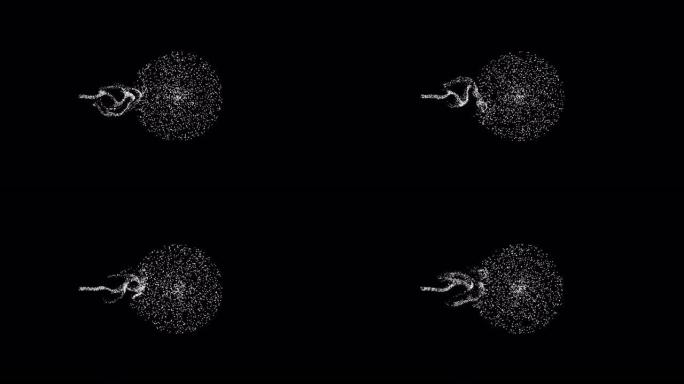 精子攻击卵子，病毒攻击黑色背景上的单色视频，带有Alpha通道。物理现象的图形表示。运动和相互作用的