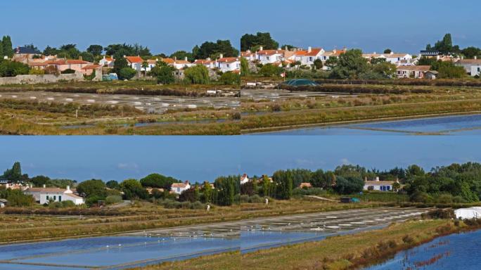 Noirmoutier-en-l'î le，Noirmoutier岛，比斯开湾，旺代，法国。