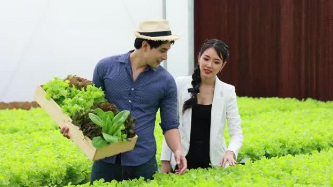 小型企业和家庭企业的概念，亚洲夫妇业主有机蔬菜农场正在温室中收集农产品。温室农场中的有机水培蔬菜。