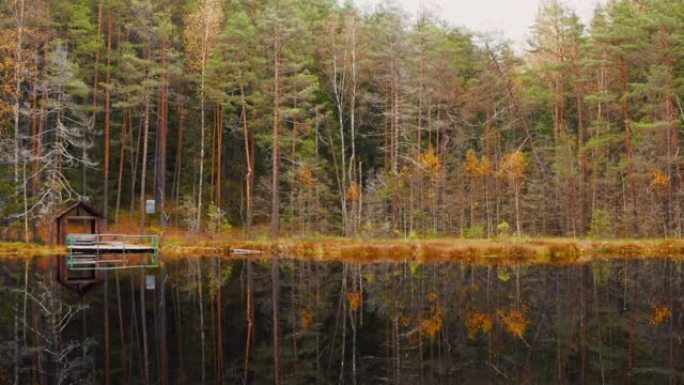 欧洲秋季森林中异形池塘的鸟瞰图