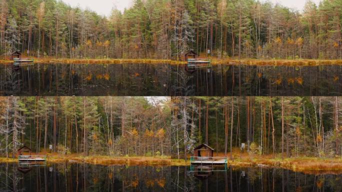 欧洲秋季森林中异形池塘的鸟瞰图