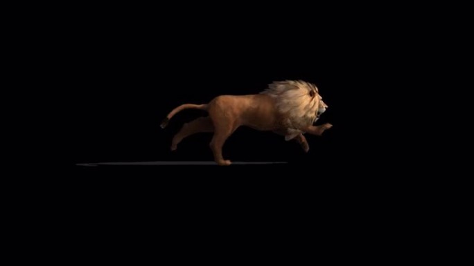 4k狮子跑3d动画