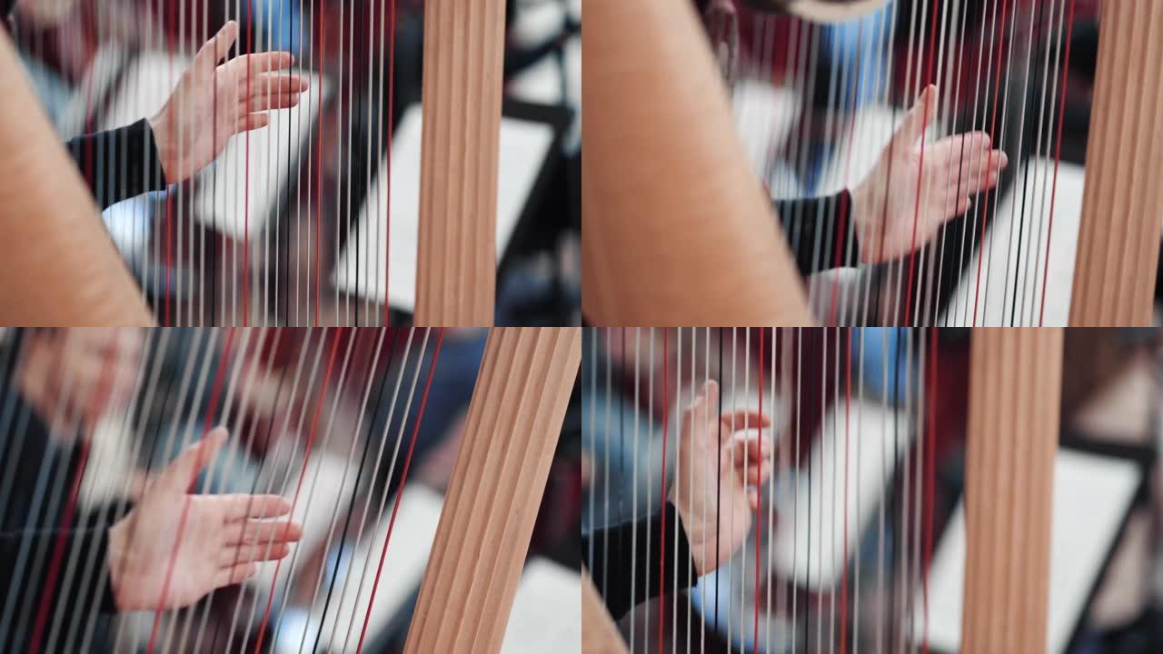 一位女音乐家演奏竖琴的特写镜头