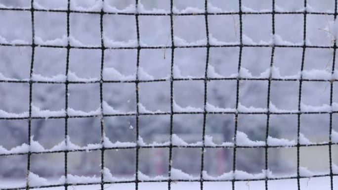 雪在东京的街道上轰轰烈烈地落下，无论是在网里还是在堆里