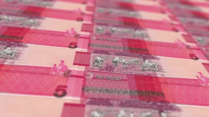 动画冈比亚达拉西钞票钞票堆栈可循环股票视频-冈比亚达拉西印刷机打印出来