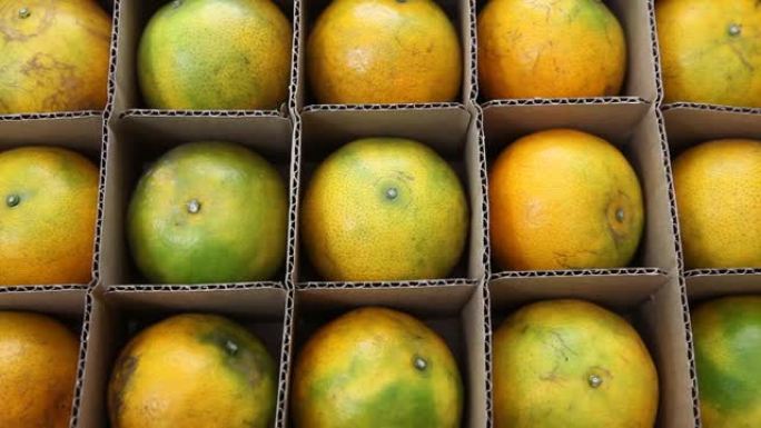 橘子排列在瓦楞纸箱中，水果背景